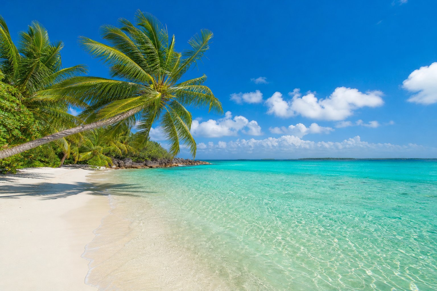 Turquoise sea and white sand beach lined with palm trees